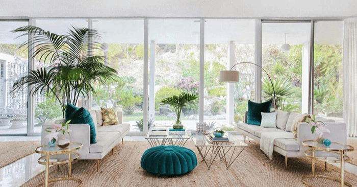 Sự xuất hiện của cây xanh giúp căn phòng trở nên mềm mại gần gũi hơn (Ảnh: Thegioitiepthi.danviet.vn)