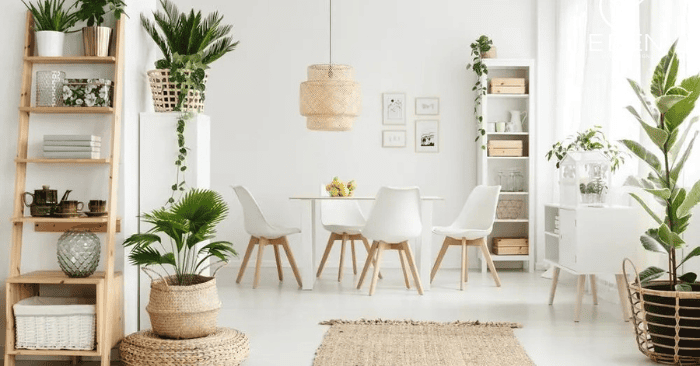 Sắp xếp cây xanh cân đối theo ánh sáng giúp phòng khách hài hòa và không bị rối mắt (Ảnh: Edeninterior.vn)