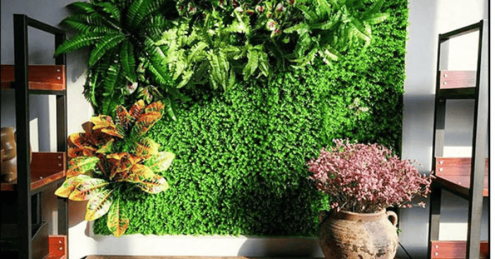 Cây được chọn phù hợp với diện tích và phong cách nội thất (Ảnh: Hoangvugia..com)